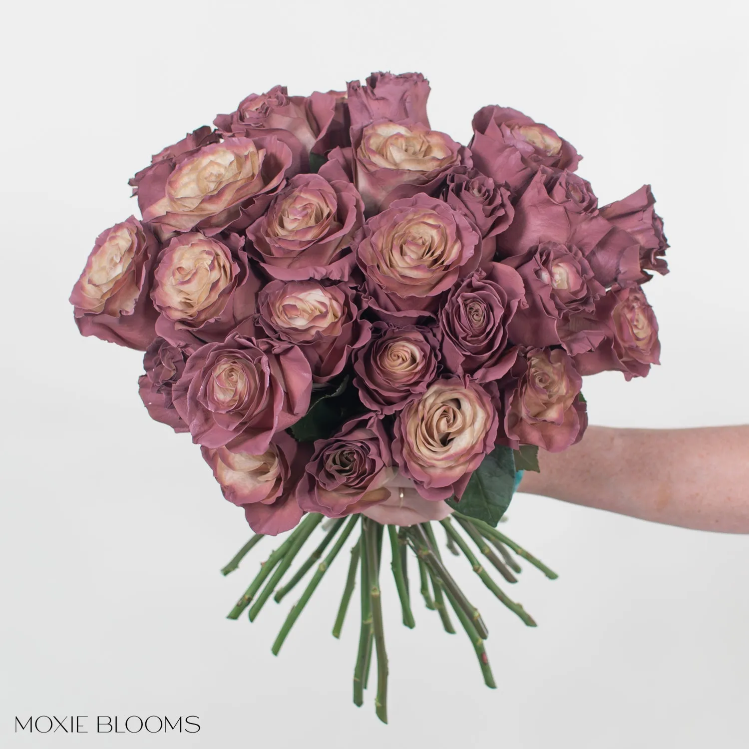 Antique Berry Novelty Roses