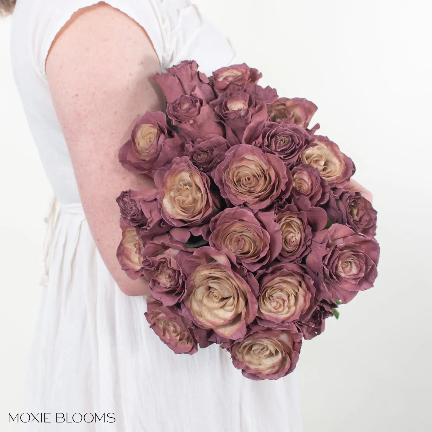 Antique Berry Novelty Roses