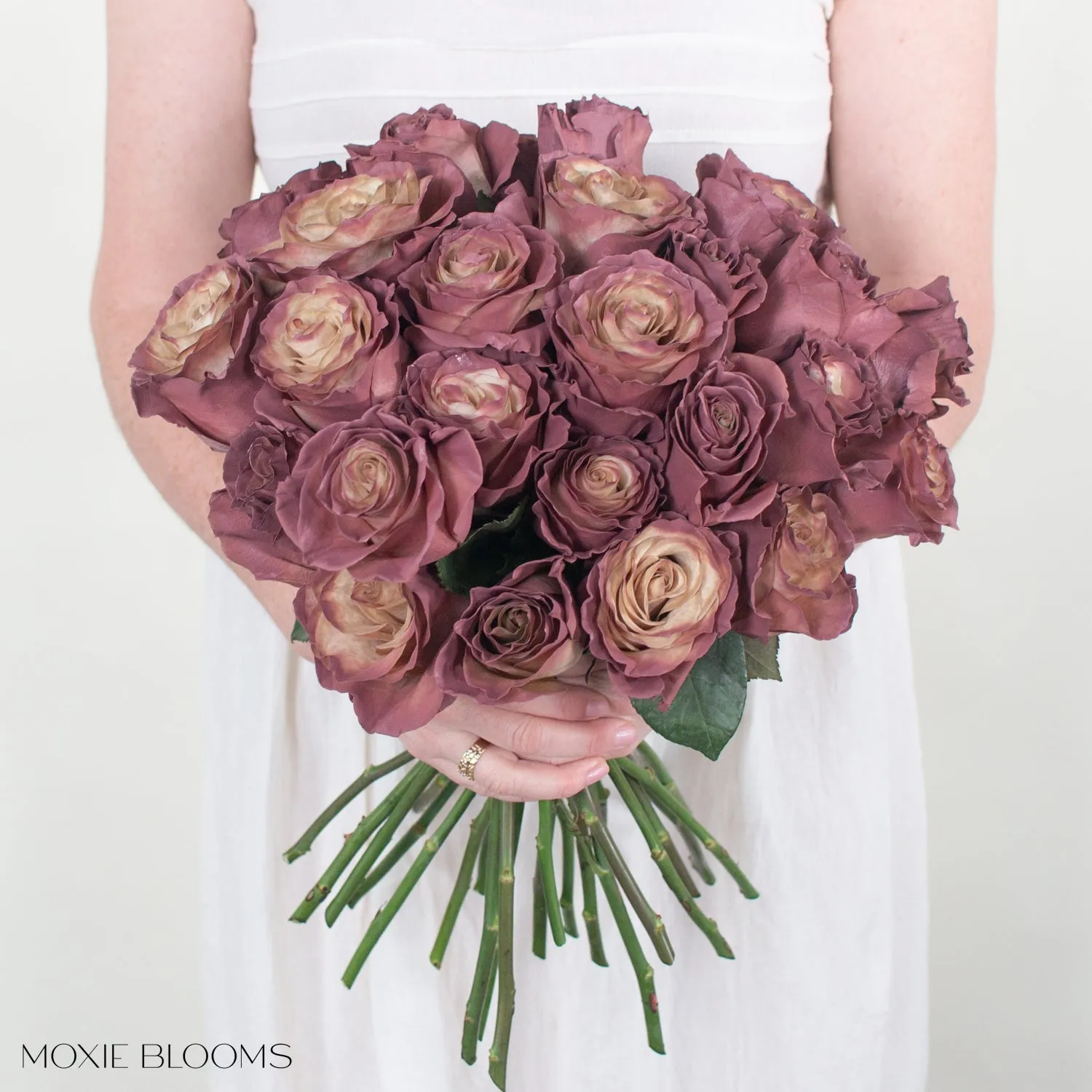 Antique Berry Novelty Roses