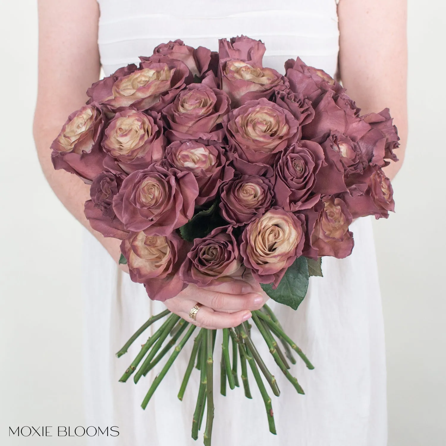 Antique Berry Novelty Roses