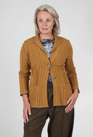 Frayed Stripe Fitted Blazer, Brass